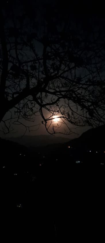 Habitación acogedora