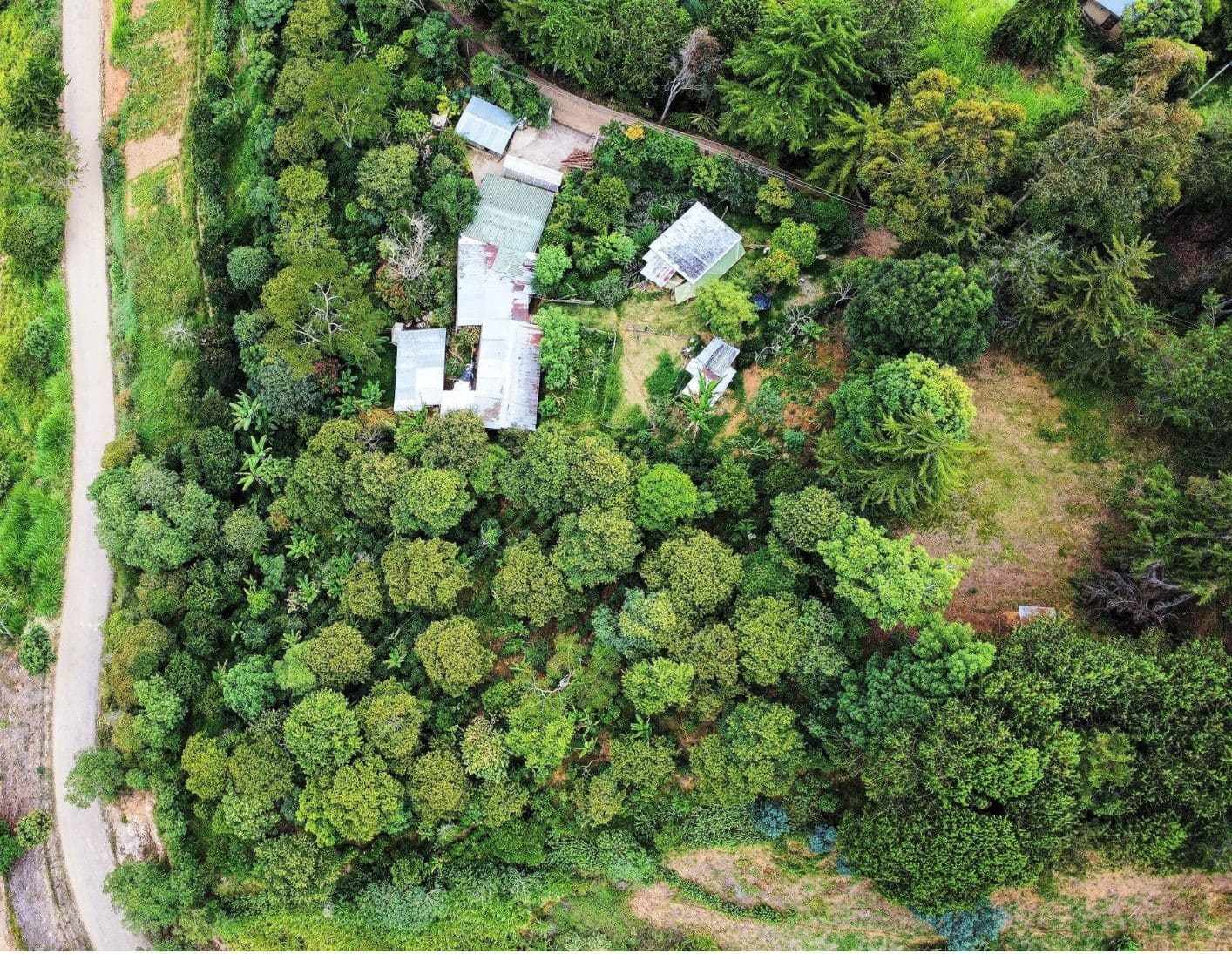 Finca El Pinar Restaurante