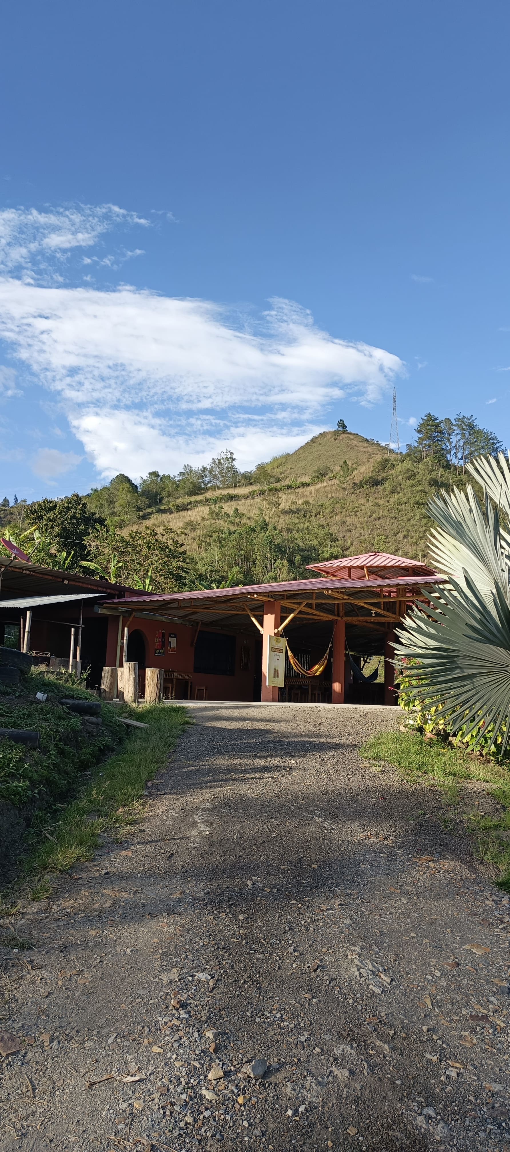 Kiosco Donde Mascota
