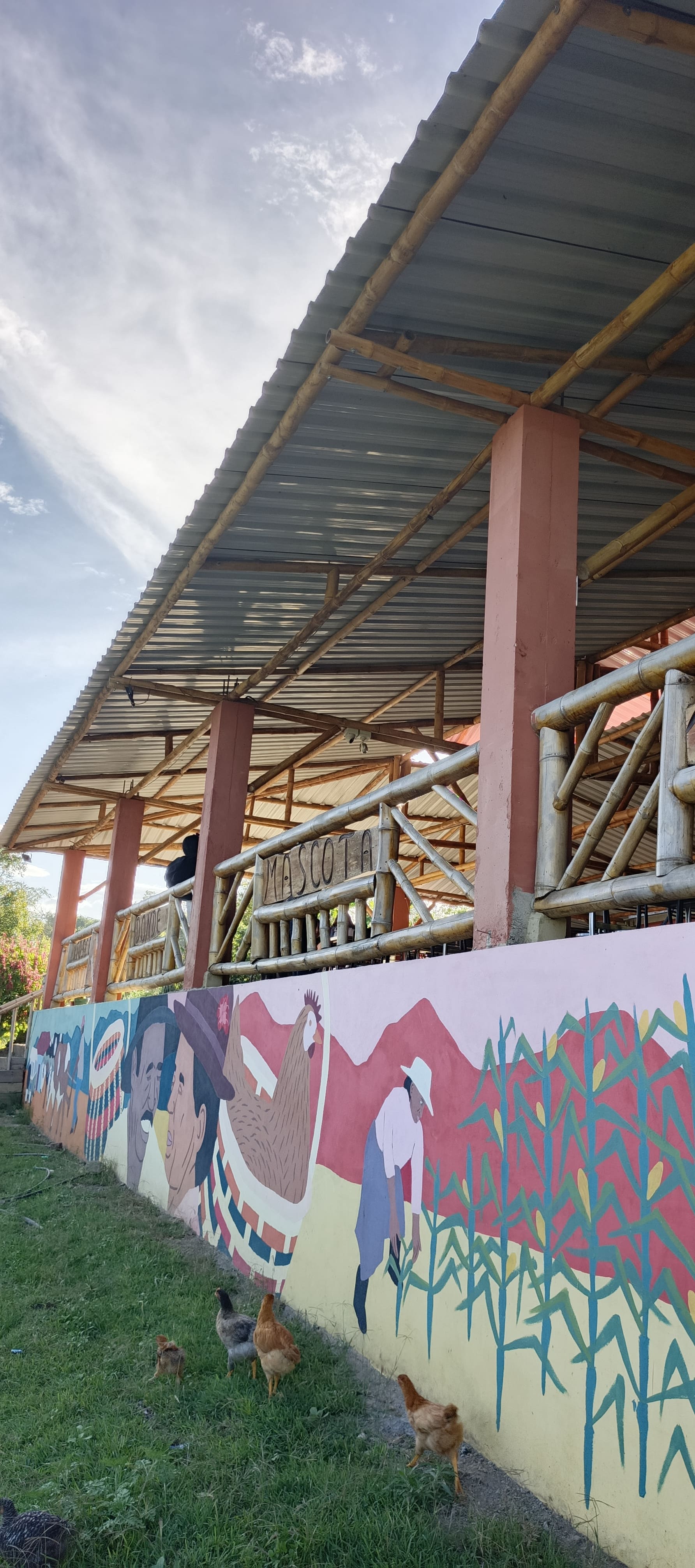 Kiosco Donde Mascota