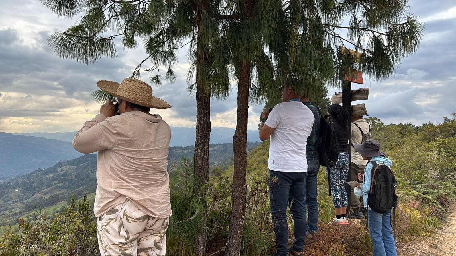 Avistamiento de aves