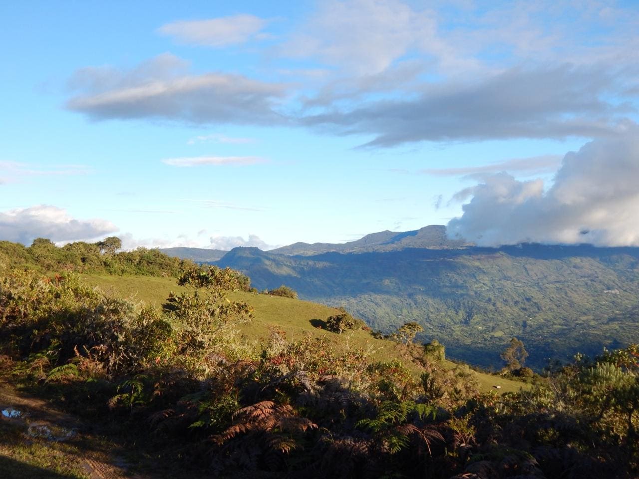 Miradores panorámicos